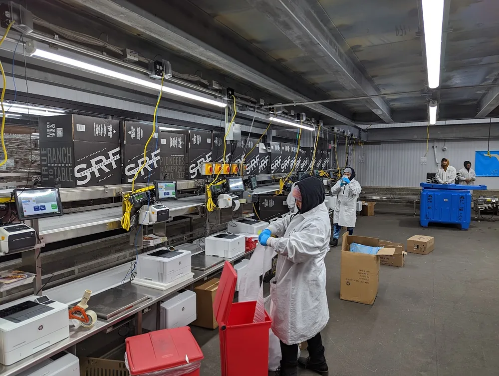 A row of networked packing stations, each with a bench scale, terminal, and label printer, running in a chilled processing room.